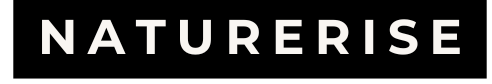 NatureRise